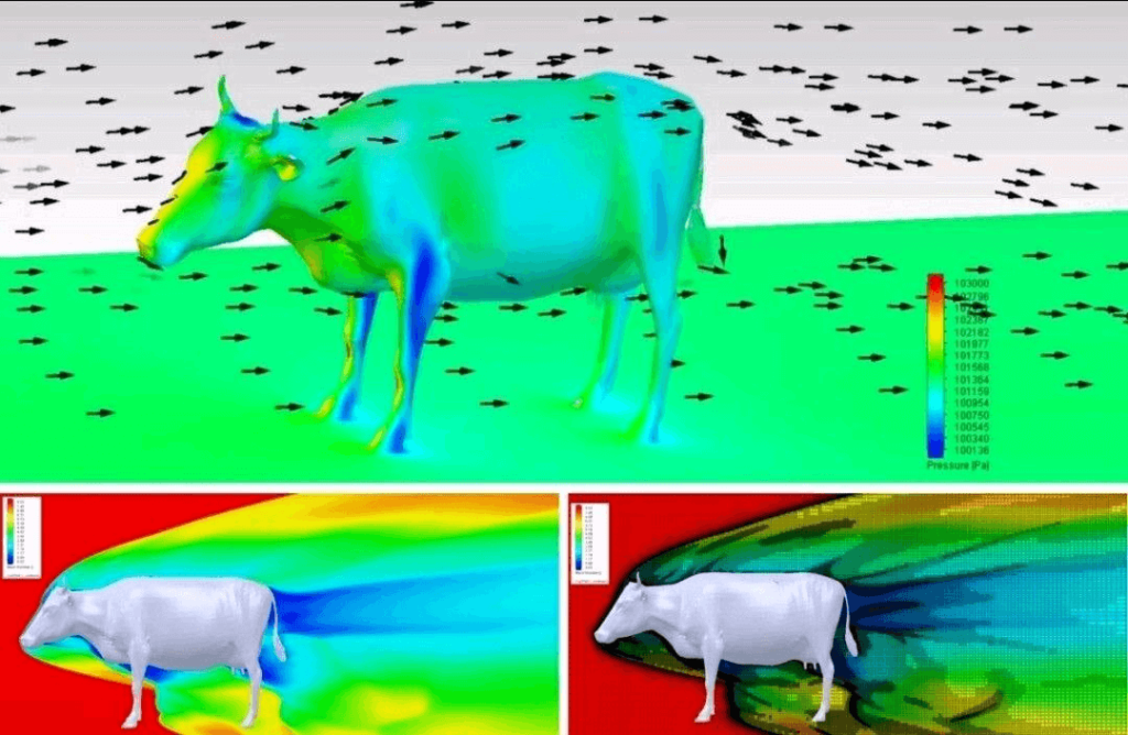 What simulation can teach us – изображение 1